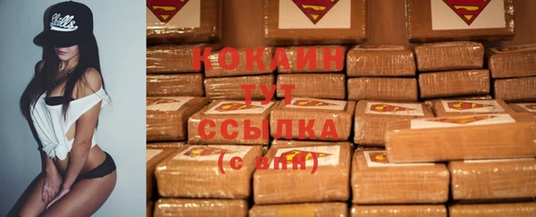 шишки Гусиноозёрск