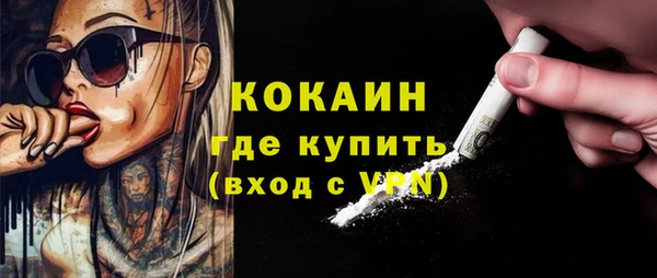 шишки Гусиноозёрск