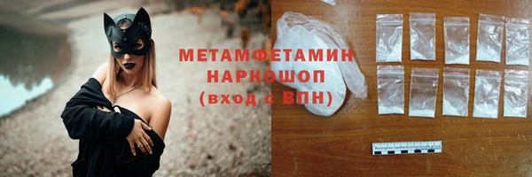 шишки Гусиноозёрск