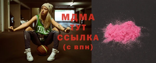 шишки Гусиноозёрск