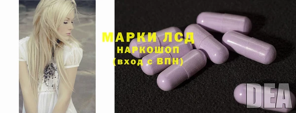 амф Гусев