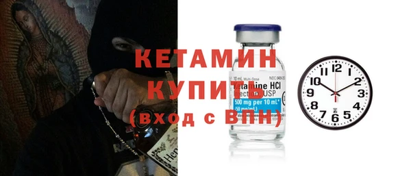 шишки Гусиноозёрск