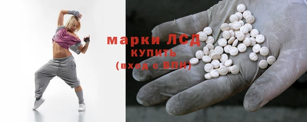 амф Гусев