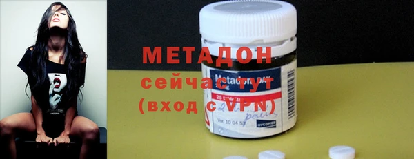амф Гусев
