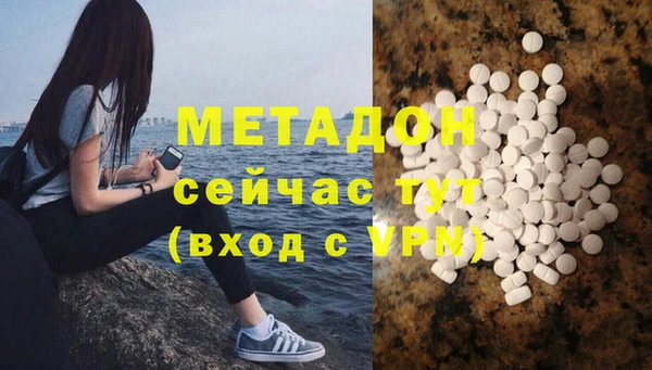 амф Гусев