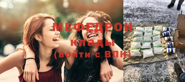 амф Гусев