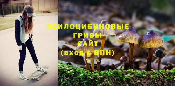 шишки Гусиноозёрск
