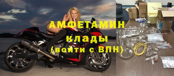 шишки Гусиноозёрск
