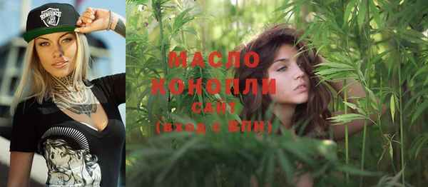 шишки Гусиноозёрск