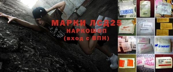 амф Гусев