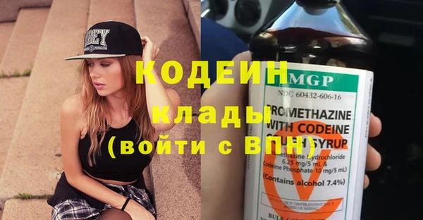 шишки Гусиноозёрск