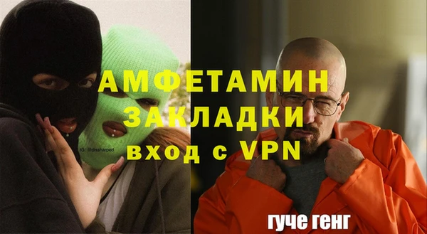 амф Гусев