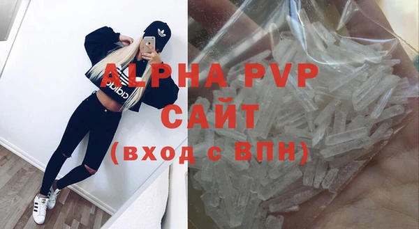 шишки Гусиноозёрск